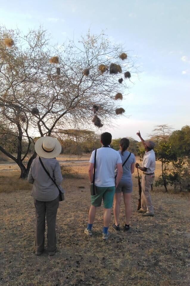 Walking-Safaris-in-Tanzania