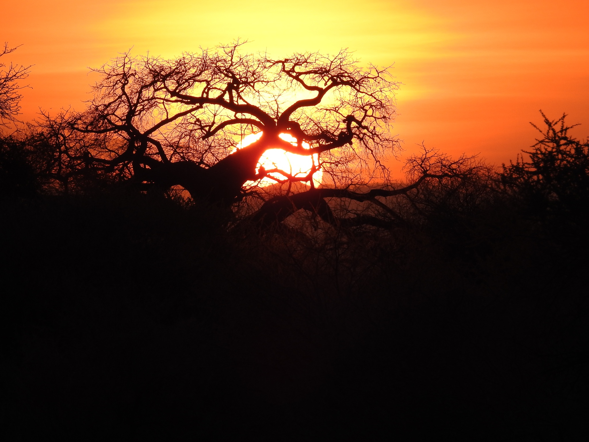 Safari-Tansania-Eyes-4-Nature-Safaris